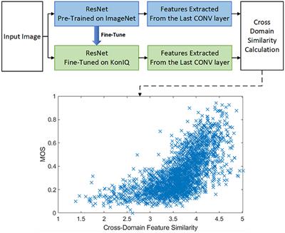 Cross-Domain Feature Similarity Guided Blind Image Quality Assessment